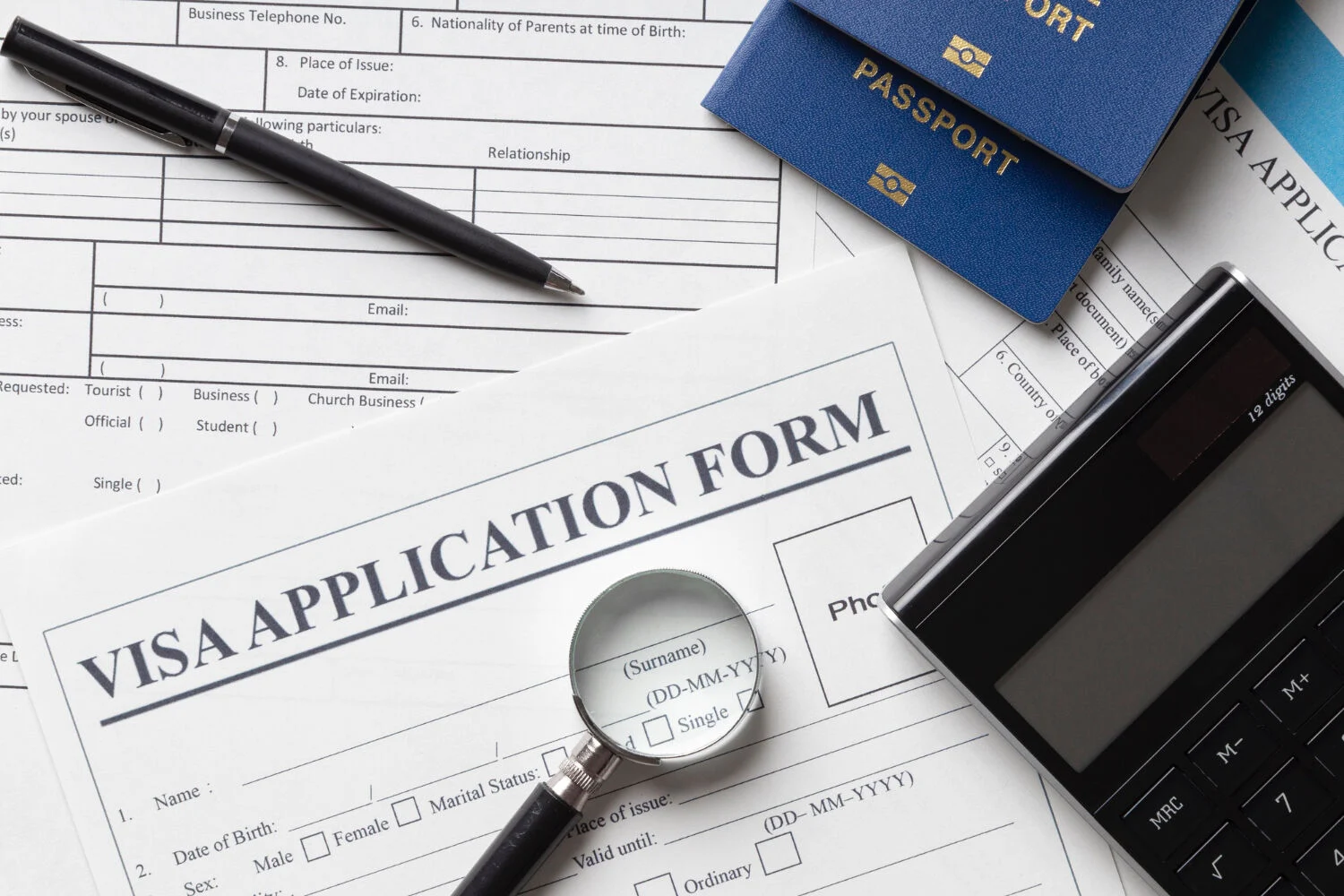 Visa Application Process